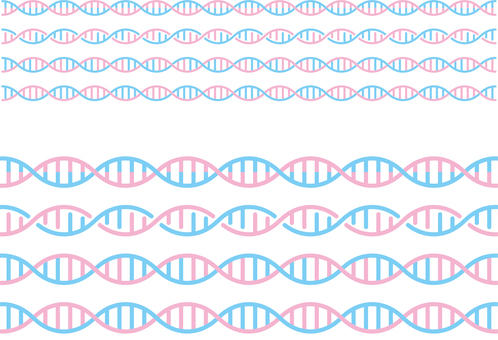 遺伝子o ゲノム,遺伝子,dna,染色体,二重螺旋,生物学,塩基配列,バイオ,科学,医学のイラスト素材