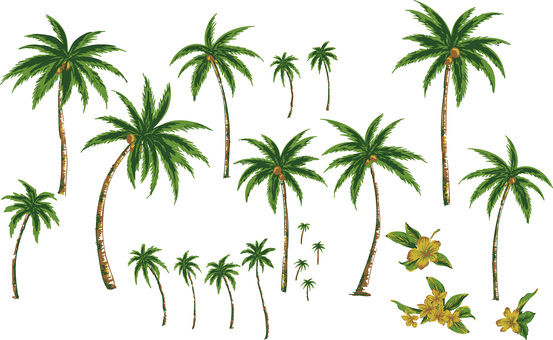 Illustration, set, palme, pflanze, 