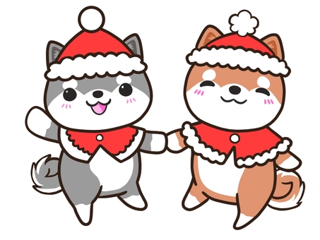 クリスマスな柴犬たち 柴犬,犬,クリスマス,赤柴,黒柴,ペットのイラスト素材