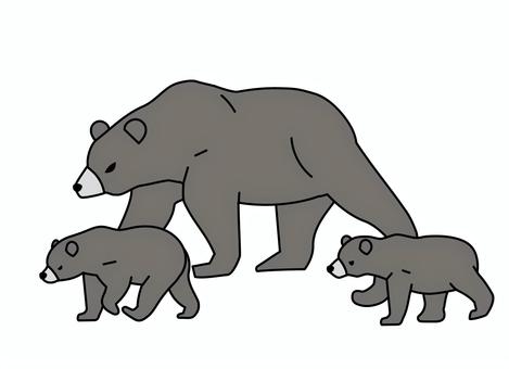 怖い熊の親子　線画 熊,親子,ヒグマ,害獣,リアル,全身,カラー,哺乳類,野生動物,フラットのイラスト素材
