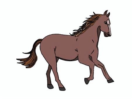 馬 競馬,乗馬,動物,茶色,走るのイラスト素材