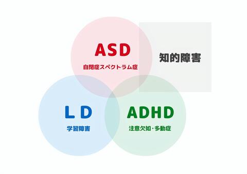 発達障害の4つの特性と重なりを表すベン図 発達障害,adhd,asd,障害,ld,知的障害,自閉症スペクトラム症,自閉症,発達,注意欠陥のイラスト素材