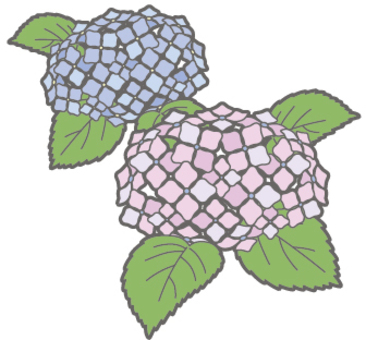 Monthly - June - hydrangea, , JPG, PNG and AI