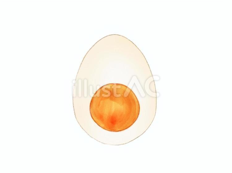 水彩画風半分に切ったゆで卵のイラスト ゆで卵,卵,食べ物のイラスト素材
