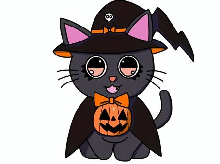 ハロウィンの仮装をした黒猫
