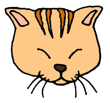 Gato, gato, mascota, animal, JPG and PNG