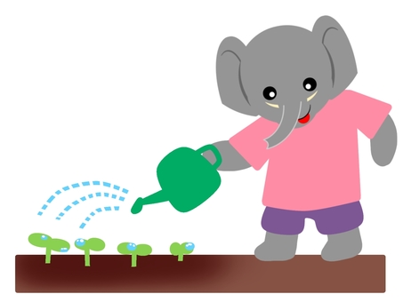 Watering (elephant), , JPG and PNG