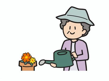 ガーデニングを楽しむシニアのイラスト ガーデニング,高齢者,趣味,植物,花,園芸,笑顔,老人,自然,のんびりのイラスト素材