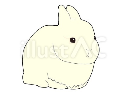 白うさぎ2