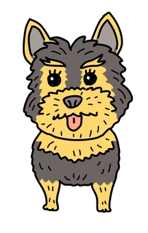 ヨークシャーテリアショート2 ヨークシャーテリアショート2 犬,動物,ペット,かわいい,デフォルメ,わんこ,キャラクター,毛色,手描き,ヨークシャーテリアのイラスト素材