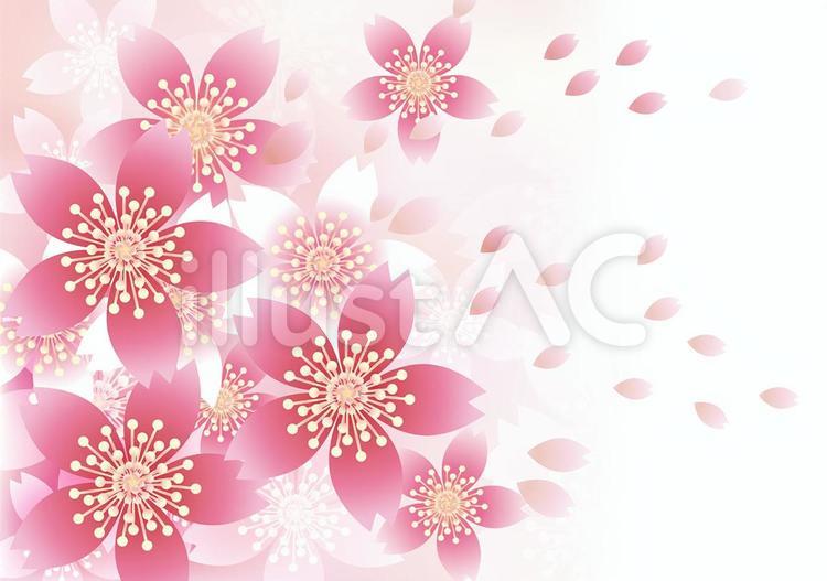 さくらの花87 花,桜,春のイラスト素材