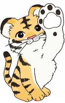 肉球を見せる虎（肉球の部分は透過） 肉球,虎,ポーズ,可愛い,手描きのイラスト素材