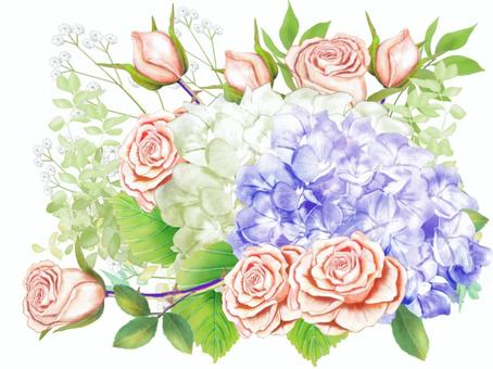 Rose and hydrangea, JPG and PNG Rose and hydrangea, , JPG and PNG