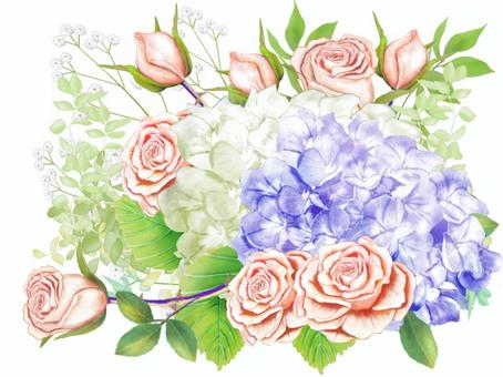 Rose and hydrangea, rose, hydrangea, petal, JPG and PNG