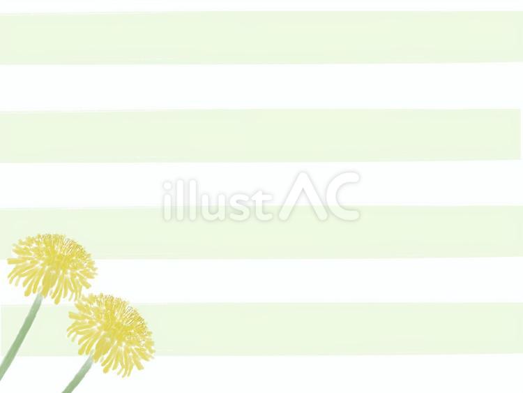 たんぽぽ　ヨコ線 黄色い花,春,タンポポのイラスト素材