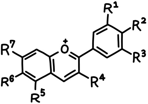 アントシアニンの手描き化学式 アントシアニン,手描き,ポリフェノール,抗酸化作用,化学構造のイラスト素材