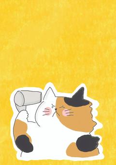 ドライヤーを使う三毛猫ちゃん かわいい,ドライヤー,乾かす,ドライ,風,生活,ねこ,三毛猫,どうぶつ,いきもののイラスト素材