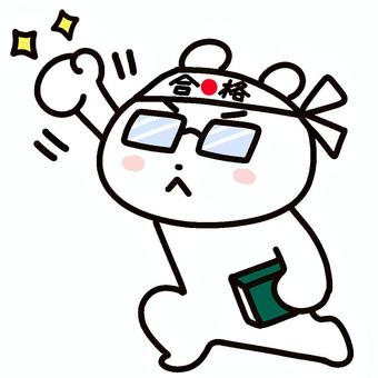 合格ハチマキで応援するクマ２ クマ,シロクマ,ハチマキ,合格,必勝,かわいい,動物,ゆるい,冬,声援のイラスト素材