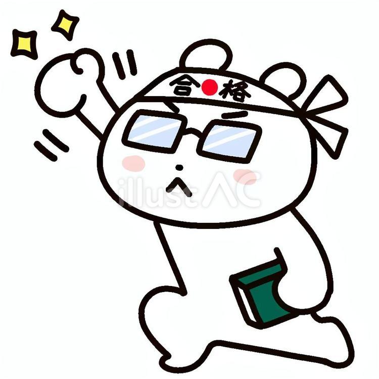 合格ハチマキで応援するクマ２ クマ,シロクマ,ハチマキのイラスト素材
