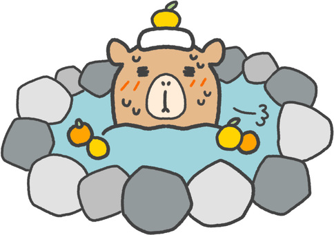 柚子湯に入っている可愛いカピバライラスト 冬至,柚子湯,冬,カピバラ,汗,浸かる,お風呂,温泉,手描き,イラストのイラスト素材