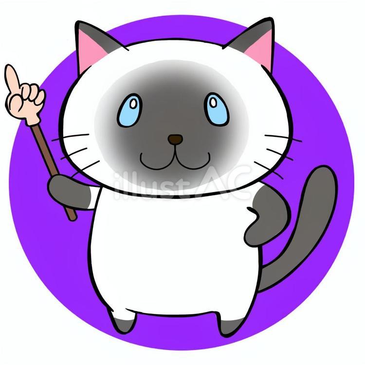 注目ねこちゃん　シャム猫 猫,教師,シャムのイラスト素材