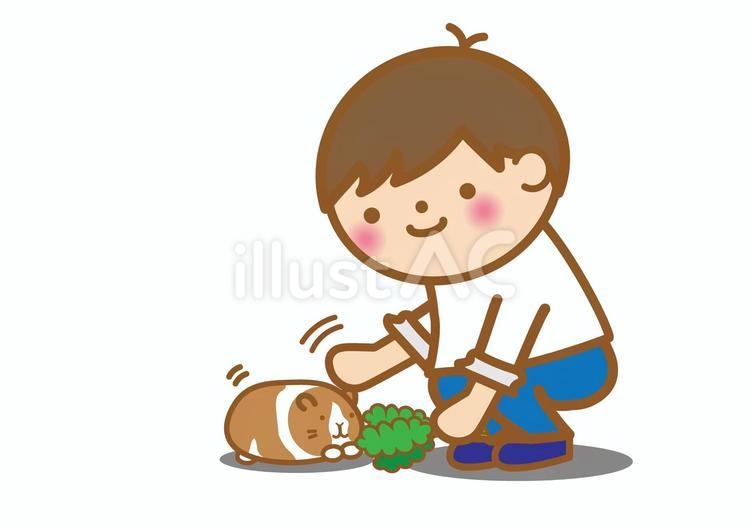 ハムスターに餌をあげる男の子 ハムスター,モルモット,餌やりのイラスト素材