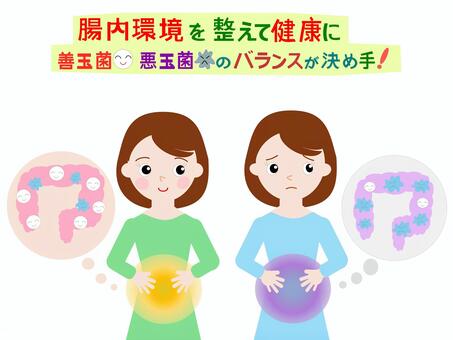 腸内環境と健康　善玉菌・悪玉菌 腸内環境,善玉菌,悪玉菌,健康,人物のイラスト素材