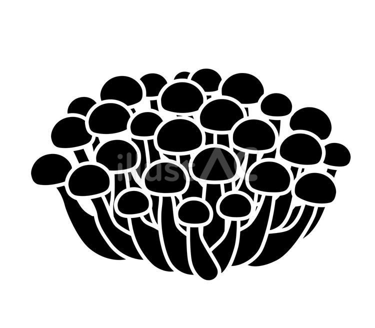 シメジのアイコン シメジ,茸,菌類のイラスト素材
