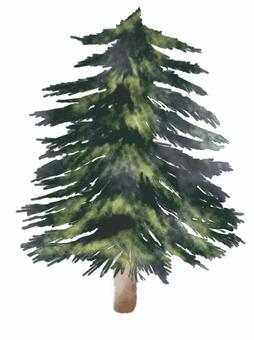 conifer watercolor rough touch, trees, coniferous trees, wood, JPG and PNG