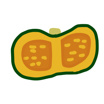 かぼちゃ（断面） 野菜,根菜,かぼちゃ,カボチャ,南瓜,パンプキン,断面,食べ物,食品,ベジタブルのイラスト素材