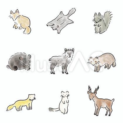 日本の動物セット2