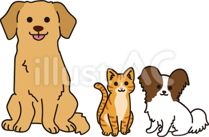 仲良し犬猫