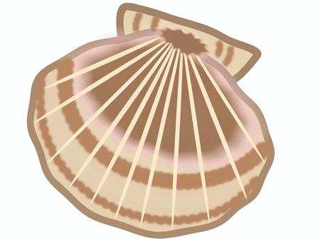 帆立の殻 帆立,ホタテ,殻,貝,貝殻,シーフード,アイコンのイラスト素材