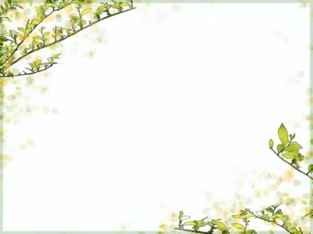 Sunlight through the leaves frame / background _ bordered, JPG Sunlight through the leaves frame / background _ bordered, , JPG