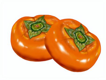 美味しそうな柿 柿,カキ,日本,果実,栽培,ビタミン,食物繊維,タンニン,美味しい,オレンジ色のイラスト素材