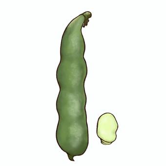 Illustration, haricots, bouton, légumes, 