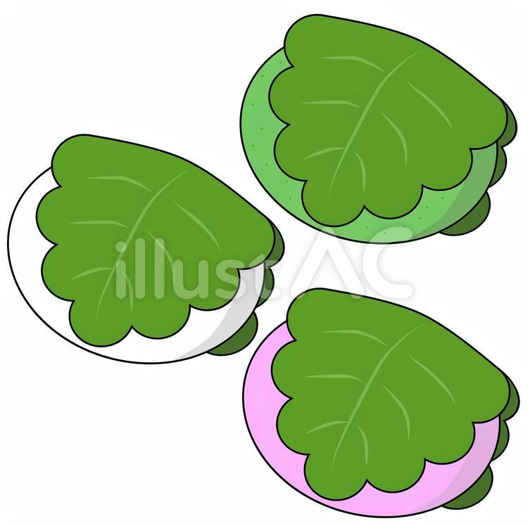 柏餅三種セット 柏餅,白,ピンクのイラスト素材