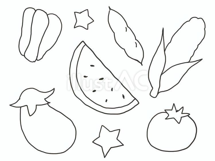夏野菜塗り絵 夏,野菜,塗り絵のイラスト素材
