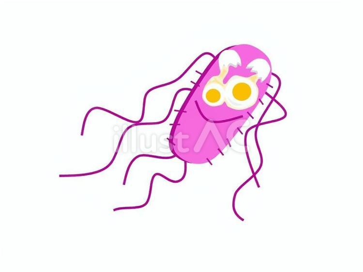 サルモネラ菌 食中毒,食中毒菌,卵のイラスト素材