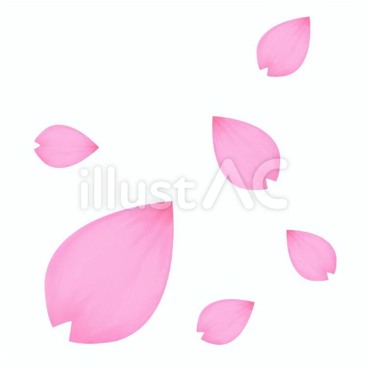 桜の花びら 桜,花びら,ピンクのイラスト素材