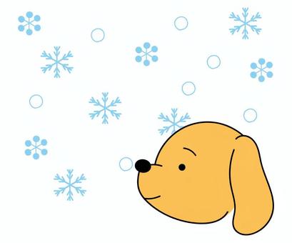 雪を見る犬 犬,ペット,ミニチュアダックスフンド,ビーグル,ゴールデンレトリバー,雪の結晶,垂れ耳,笑顔,嬉しい,喜びのイラスト素材