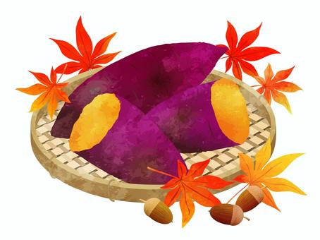焼き芋と紅葉とドングリ 焼き芋と紅葉とドングリ 焼き芋,さつまいも,どんぐり,木の実,もみじ,紅葉,楓,葉っぱ,秋,かわいいのイラスト素材