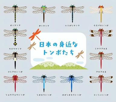 日本の身近なトンボのイラスト素材セット とんぼ,昆虫,虫,生き物,動物,自然,夏,秋,季節,日本のイラスト素材