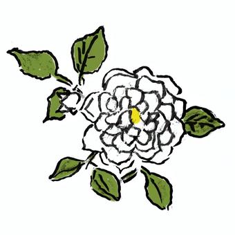 バラの花 バラ,植物,花言葉,綺麗,香りのイラスト素材