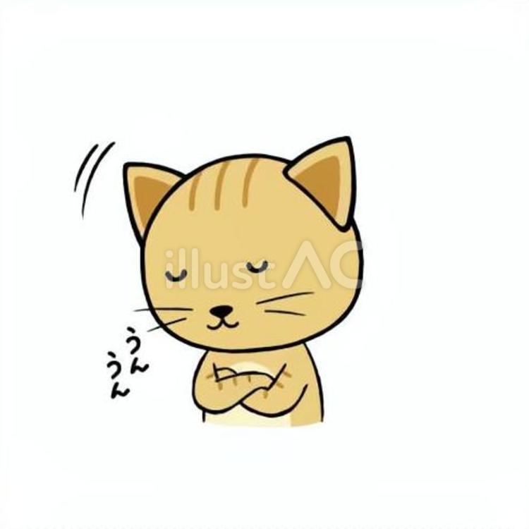 相槌を打つ茶トラ猫 猫,茶トラ,相槌のイラスト素材