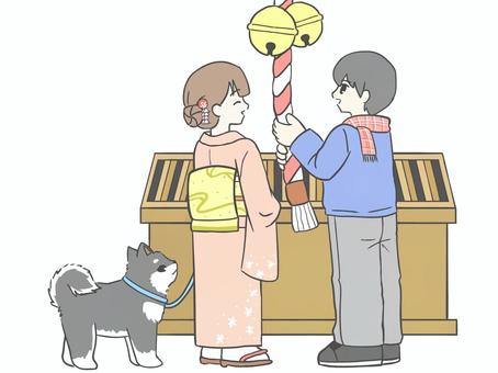 柴犬さんと初詣(黒柴ver) 柴犬さんと初詣(黒柴ver) 初詣,正月,新年,犬,柴犬,黒柴,男性,青年,女性,恋人のイラスト素材