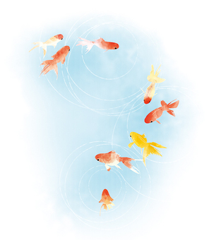 goldfish, goldfish, summer, water, JPG