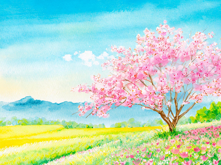 春の風景