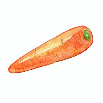 手描き風にんじん 手描き風にんじん 食品,食べ物,手書きのイラスト素材