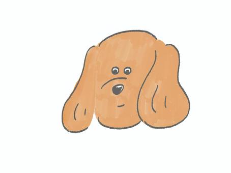目がクリクリなミニチュアダックスフンド 犬,ペット,ミニチュアダックスフンド,目,かわいいのイラスト素材
